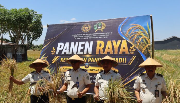 Rutan Sidrap Gelar Panen Raya Padi, Dorong Kemandirian Warga Binaan