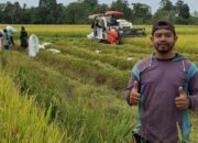 Amir, Generasi Milenial Sidrap yang Tak Malu Jadi Petani dan Sukses sebagai Konten Kreator