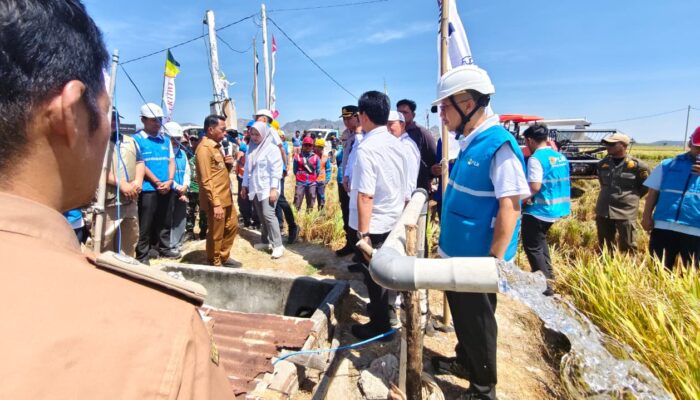 Listrik Masuk Sawah Jaga Produktivitas Petani Sidrap di Tengah Ancaman Kemarau