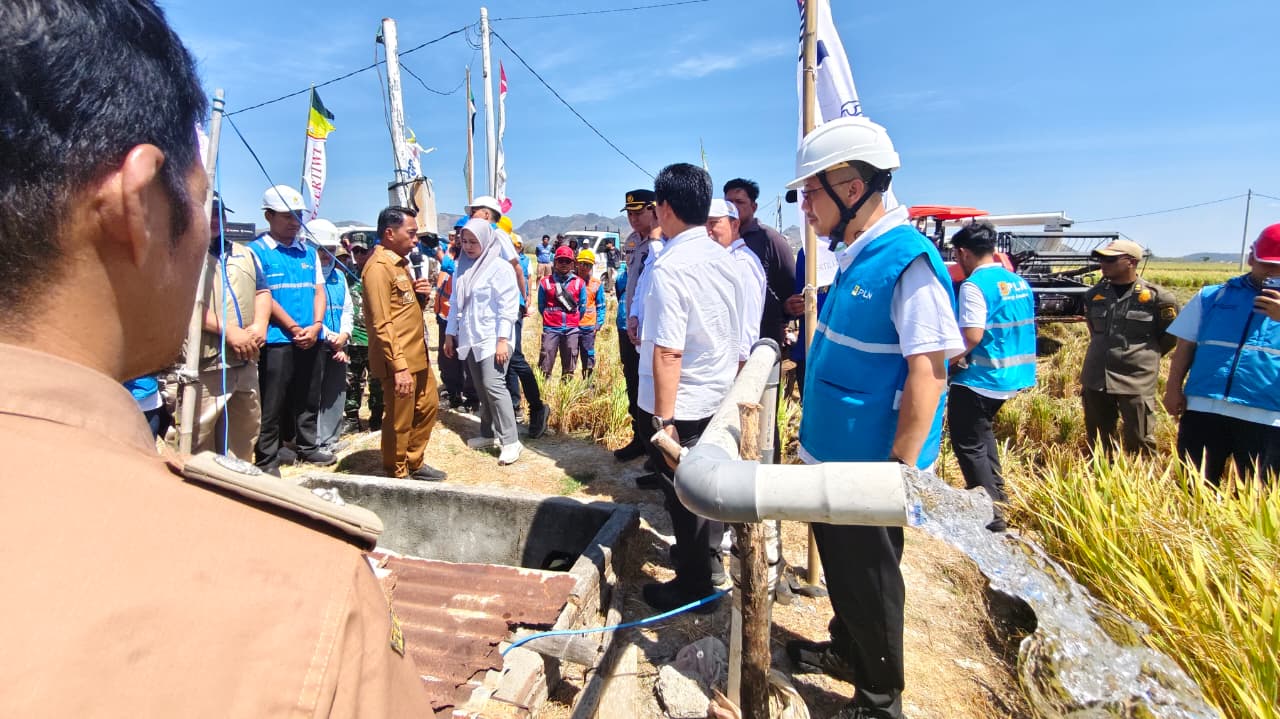 Listrik Masuk Sawah Jaga Produktivitas Petani Sidrap di Tengah Ancaman Kemarau