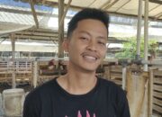Peternak Muda Sidrap Produksi Lebih dari 700 Rak Telur Setiap Hari