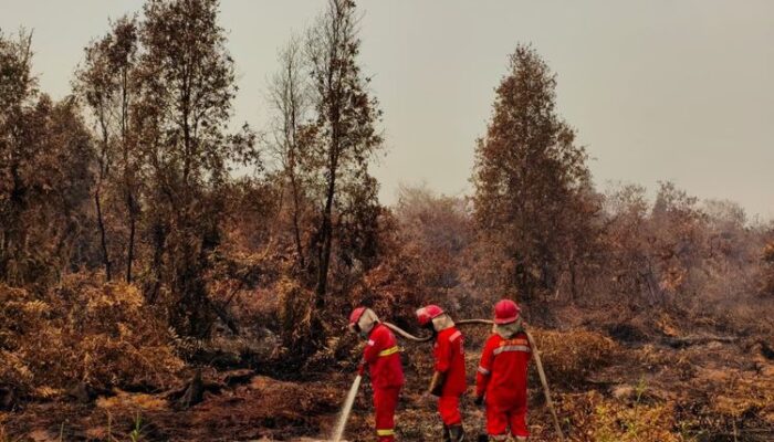 1.842 Titik Panas Terdeteksi di Kalimantan