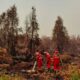 1.842 Titik Panas Terdeteksi di Kalimantan