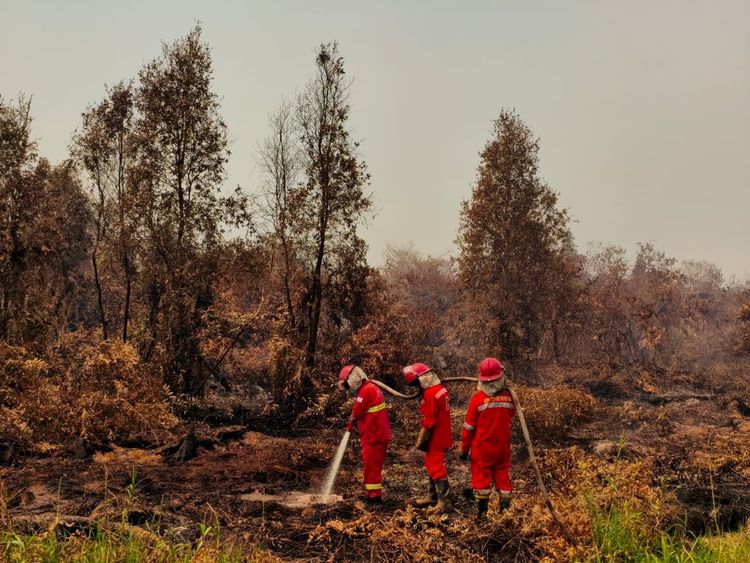 1.842 Titik Panas Terdeteksi di Kalimantan