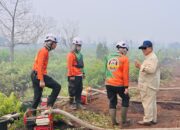 Tepung Singkong Bisa Padamkan Karhutla? BRIN: Secara Teori Memungkinkan, Masih Diuji