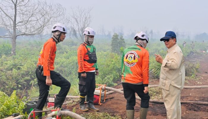 Tepung Singkong Bisa Padamkan Karhutla? BRIN: Secara Teori Memungkinkan, Masih Diuji