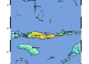BMKG: Gempa M7,7 di Flores Berpotensi Tsunami, Manggarai Utara Hingga Jeneponto Siaga