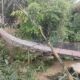 Baru Diresmikan, Jembatan Pongpet Anjlok Saat Dilintasi Bupati Pangandaran dan Puluhan Warga