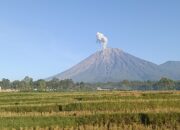Empat Gunung Api Erupsi di Hari yang Sama, Saling Berhubungan?