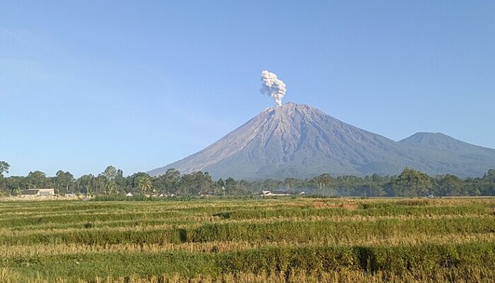 Empat Gunung Api Erupsi di Hari yang Sama, Saling Berhubungan?