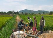 Koramil Walenrang Bantu Petani Luwu Atasi Krisis Air