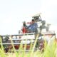 Walmas Panen 8,9 Ton Padi di Tengah Musim Kemarau