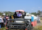 Petani Watang Pulu Panen 9 Ton Gabah di Tengah Keterbatasan Air