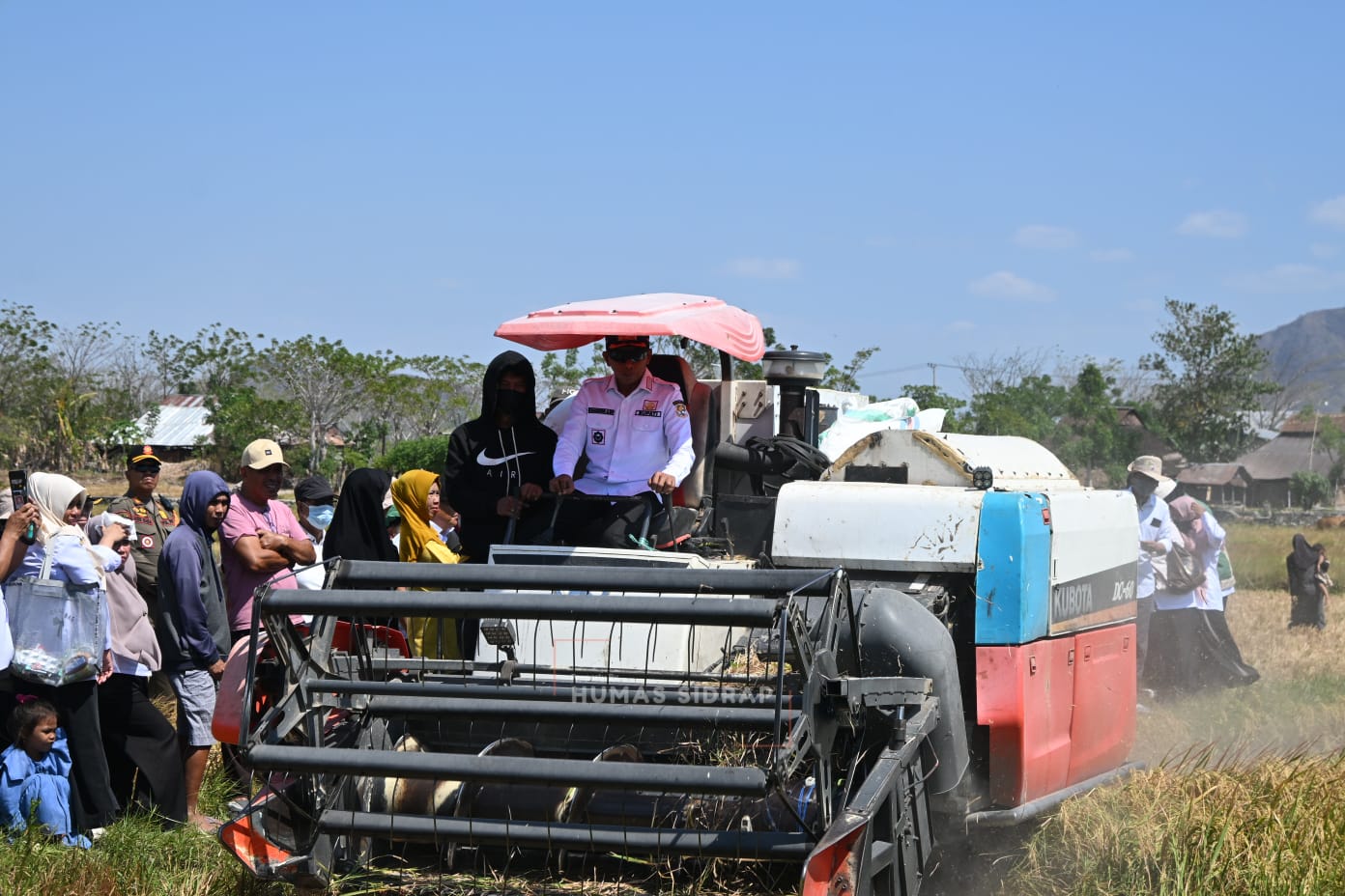 Petani Watang Pulu Panen 9 Ton Gabah di Tengah Keterbatasan Air