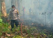 Lahan Kering di Bua Terbakar, Polsek Bua-Damkar Bergerak Cepat Cegah Api Meluas