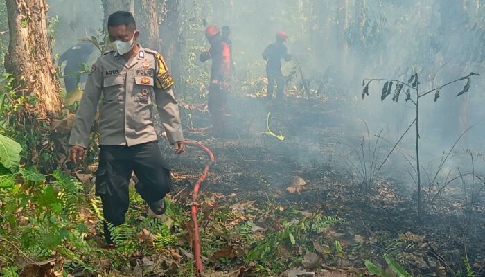 Lahan Kering di Bua Terbakar, Polsek Bua-Damkar Bergerak Cepat Cegah Api Meluas
