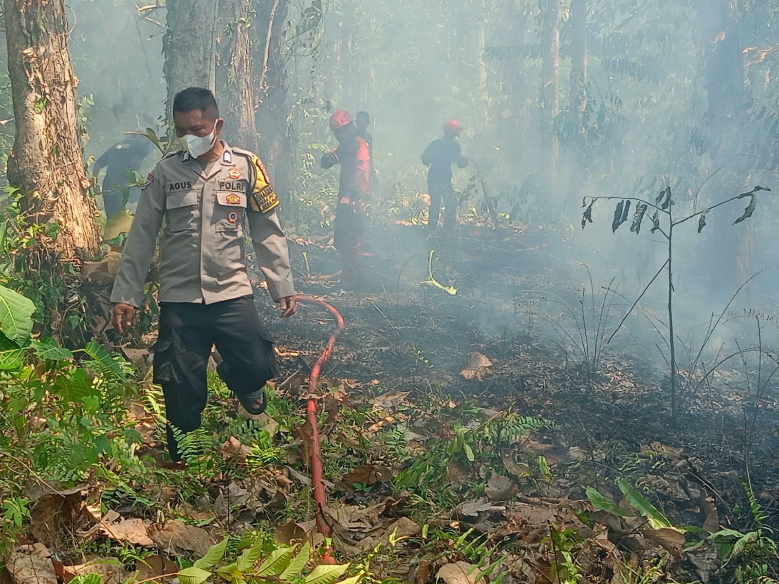 Lahan Kering di Bua Terbakar, Polsek Bua-Damkar Bergerak Cepat Cegah Api Meluas