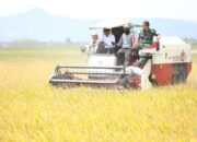 Panen Modern PM-AAS di Kahu, Bupati Bone Dorong Petani Naik Kelas