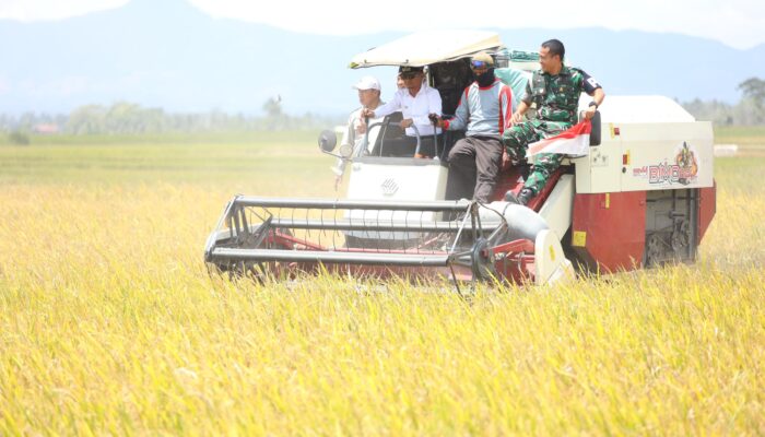 Panen Modern PM-AAS di Kahu, Bupati Bone Dorong Petani Naik Kelas