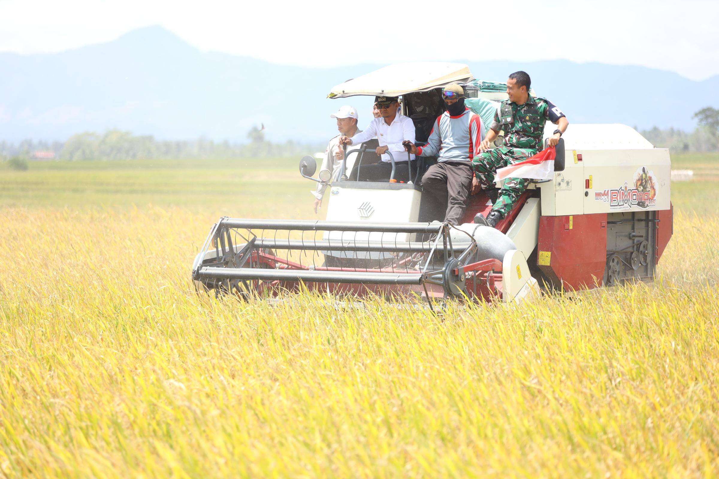 Panen Modern PM-AAS di Kahu, Bupati Bone Dorong Petani Naik Kelas