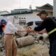 Wali Kota Palopo Tinjau Pembangunan Jalan Tomangambari