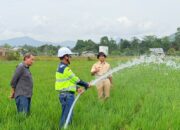 Kemarau Ancam Panen di Luwu, Masmindo Bantu Pasok Air untuk 70 Hektare Sawah