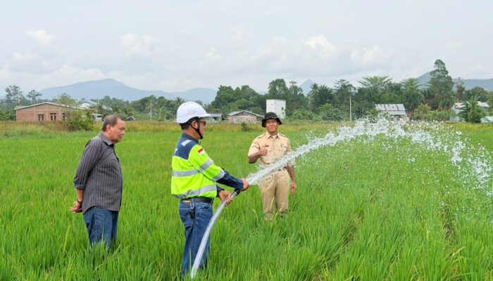 Kemarau Ancam Panen di Luwu, Masmindo Bantu Pasok Air untuk 70 Hektare Sawah