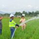 Kemarau Ancam Panen di Luwu, Masmindo Bantu Pasok Air untuk 70 Hektare Sawah