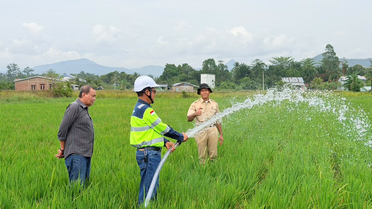 Kemarau Ancam Panen di Luwu, Masmindo Bantu Pasok Air untuk 70 Hektare Sawah