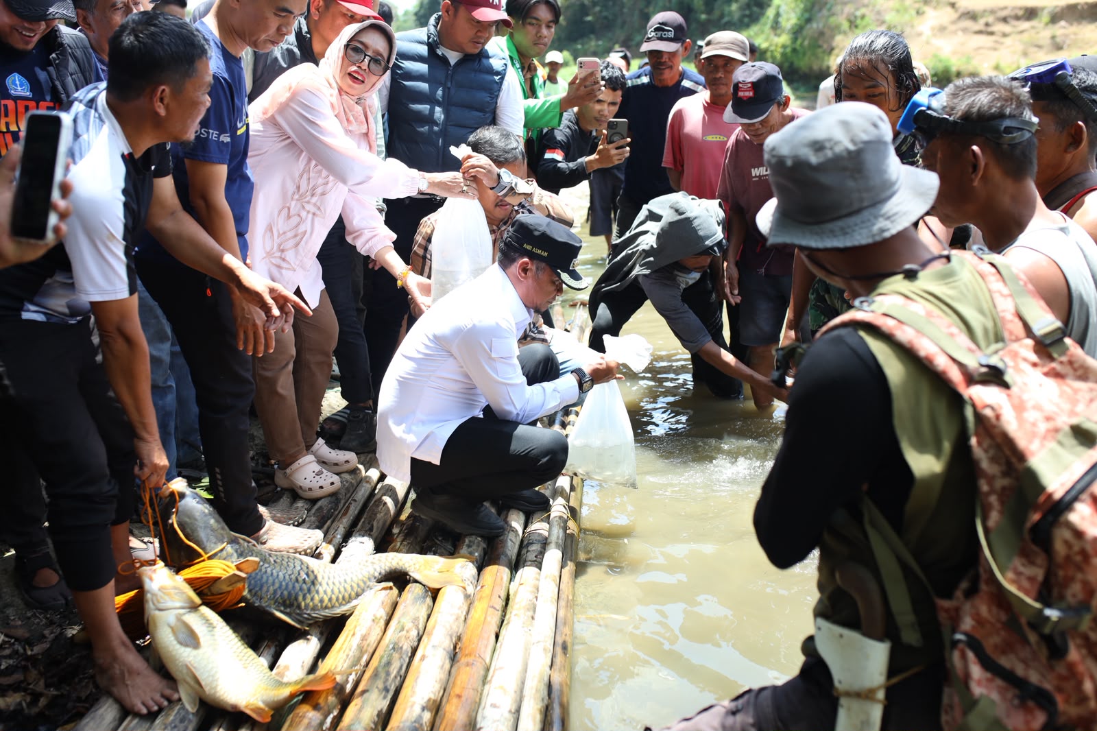 Hadiri Mappabaje’ dan Mappajala, Bupati Bone Salurkan 8.000 Benih Ikan
