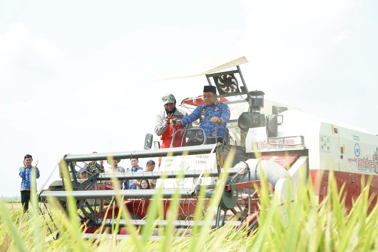 Walmas Panen 8,9 Ton Padi di Tengah Kemarau