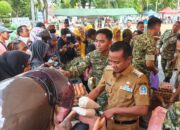 HUT Ke-81 TNI, Bupati Bone Borong Produk UMKM di Lapangan Merdeka