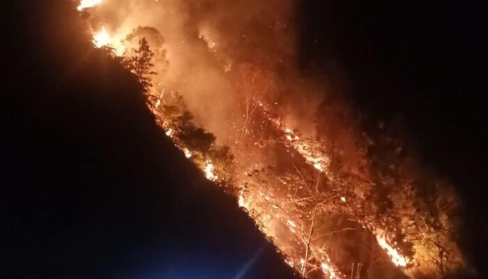 Tiga Titik Api Hanguskan 5 Hektare Hutan di Battang Barat