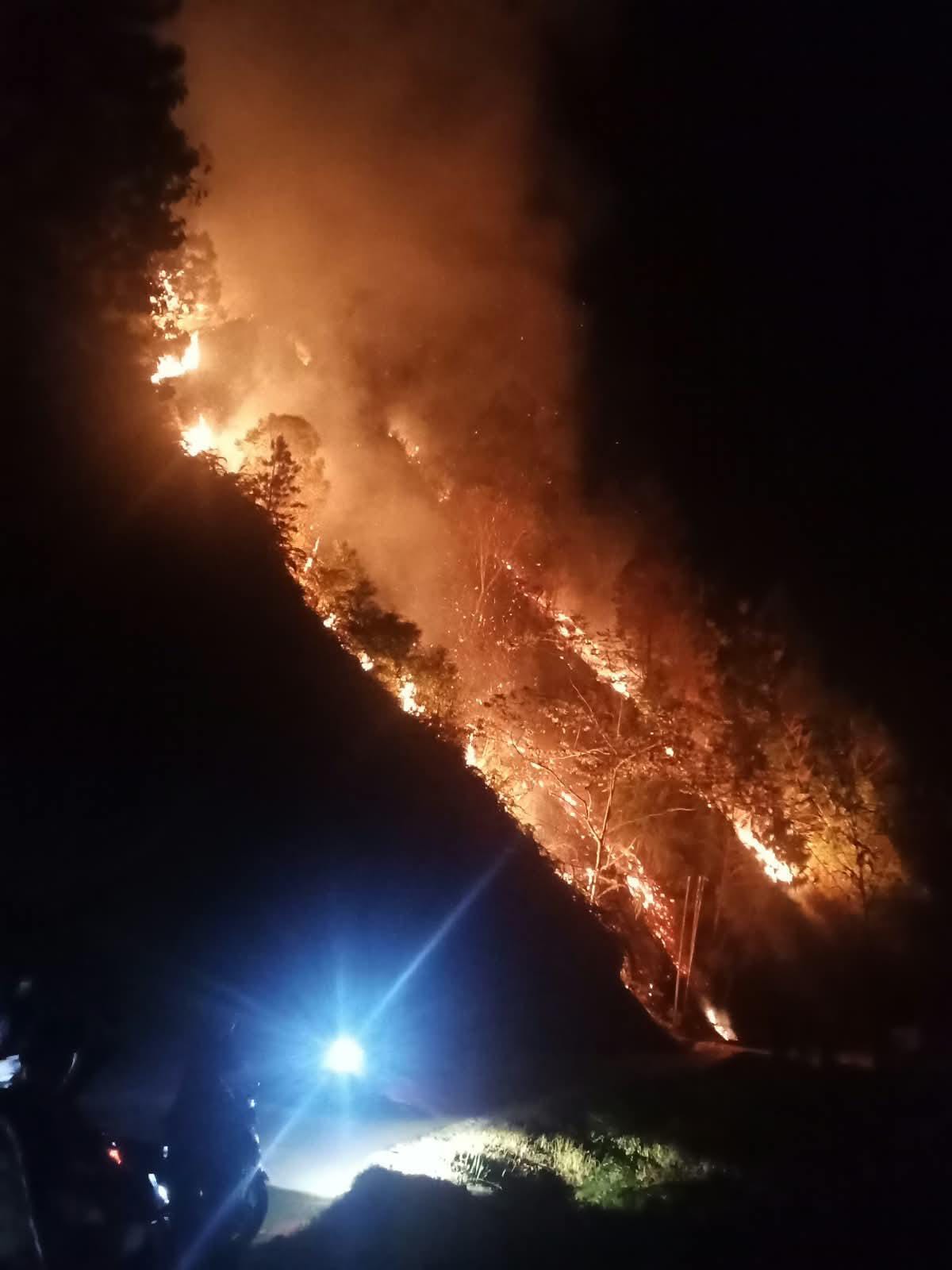 Tiga Titik Api Hanguskan 5 Hektare Hutan di Battang Barat