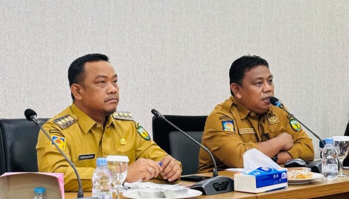 Kabupaten Luwu Raih Peringkat II TP2DD Kabupaten Terbaik Tahun 2026