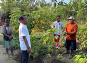 Jalan Pagi di Macege, Bupati Bone Ajak Warga Manfaatkan Lahan Kosong untuk Pangan
