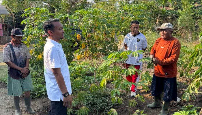 Jalan Pagi di Macege, Bupati Bone Ajak Warga Manfaatkan Lahan Kosong untuk Pangan