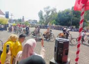 Ratusan Pesepeda Tua Ramaikan Karnaval Budaya Gau Maraja di Bone