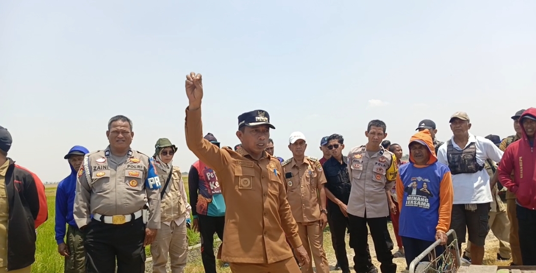 Kemarau Ancam Sawah di Tellu Limpoe, Bupati Sidrap Upayakan Air dari Danau Sidenreng