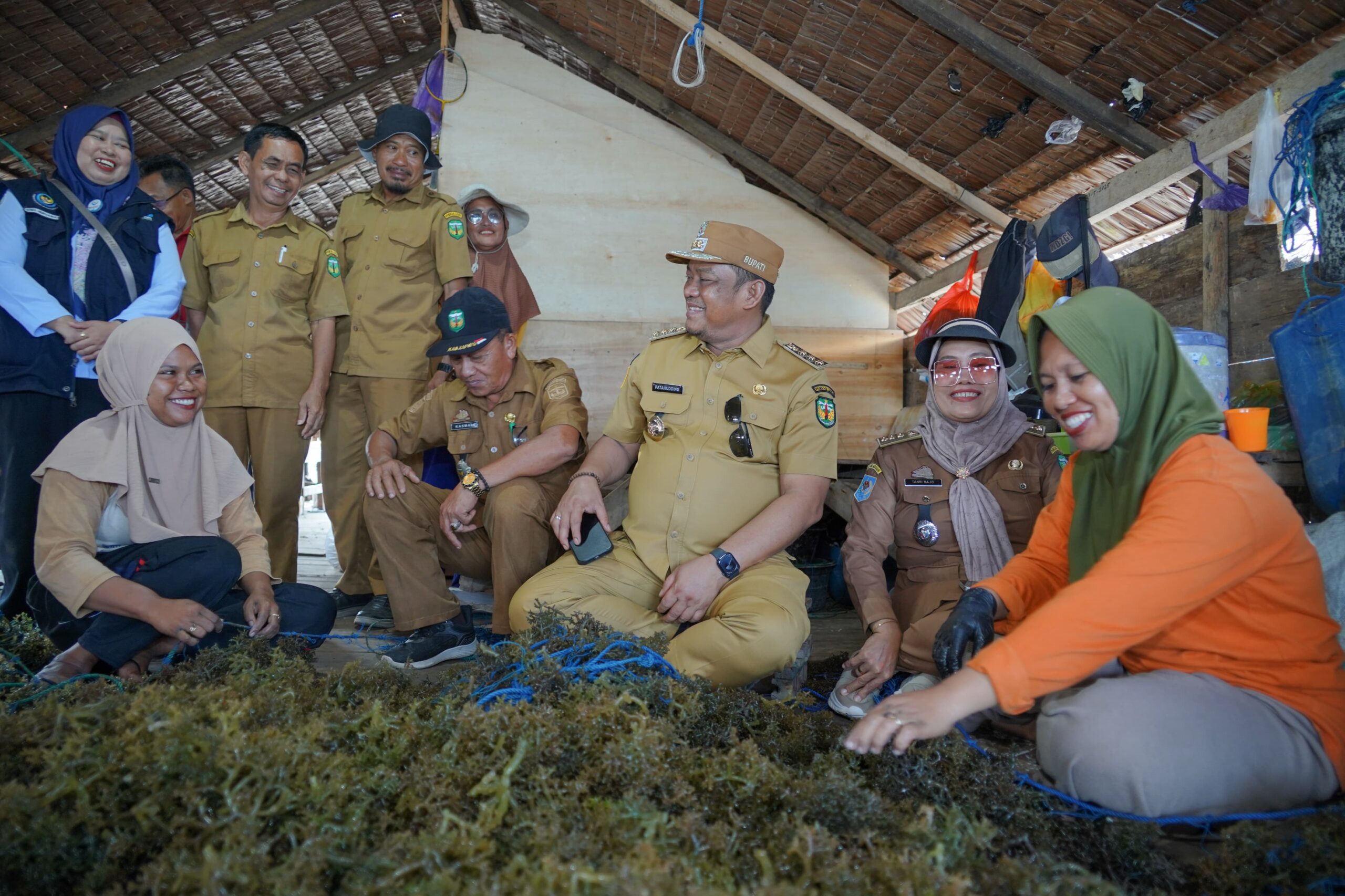 Potensi Rumput Laut Luwu Besar, Patahudding Dorong Pengelolaan Diperkuat