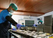 BGN Ubah Insentif Dapur MBG, Pembayaran Kini Mengikuti Jumlah Porsi