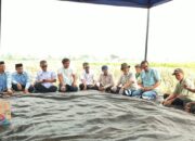 Petani Balla Panen 7,5 Ton per Hektare Saat Kemarau, Dinas Pertanian Dorong MDA Masuk Sektor Pertanian