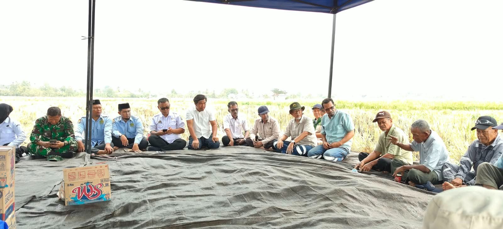 Petani Balla Panen 7,5 Ton per Hektare Saat Kemarau, Dinas Pertanian Dorong MDA Masuk Sektor Pertanian