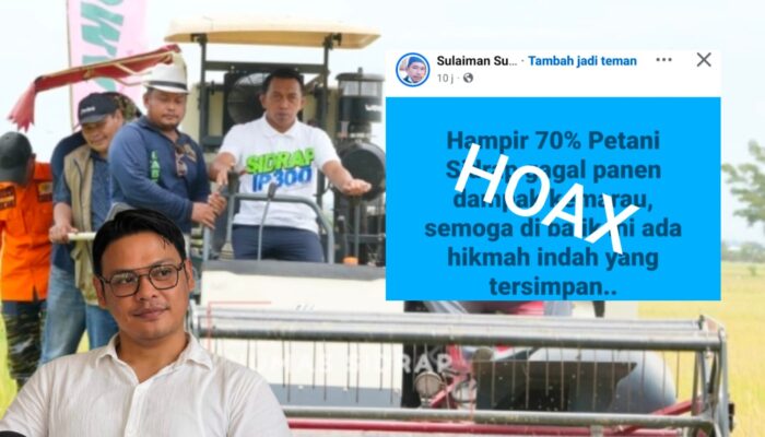 Pemkab Sidrap Bantah Isu 70 Persen Petani Gagal Panen