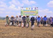 Tanam Kedelai di Bone, Andi Asman Tekankan Kepastian Pasar bagi Petani