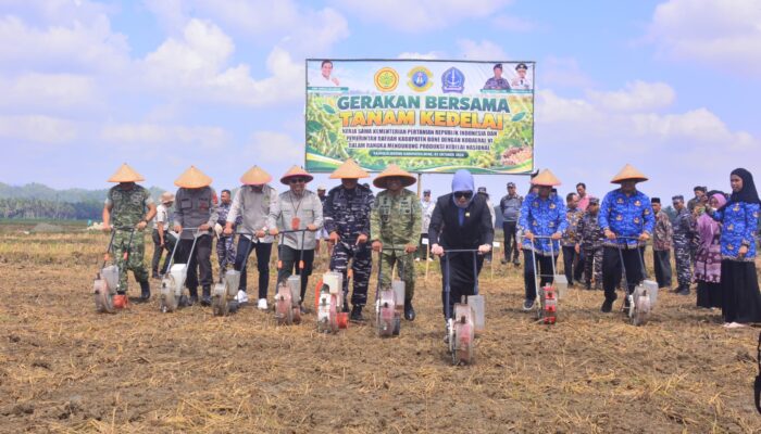Tanam Kedelai di Bone, Andi Asman Tekankan Kepastian Pasar bagi Petani