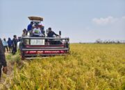Listrik Masuk Sawah Hidupkan Lahan Tadah Hujan di Bapangi Sidrap Saat Kemarau