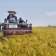 Listrik Masuk Sawah Hidupkan Lahan Tadah Hujan di Bapangi Sidrap Saat Kemarau