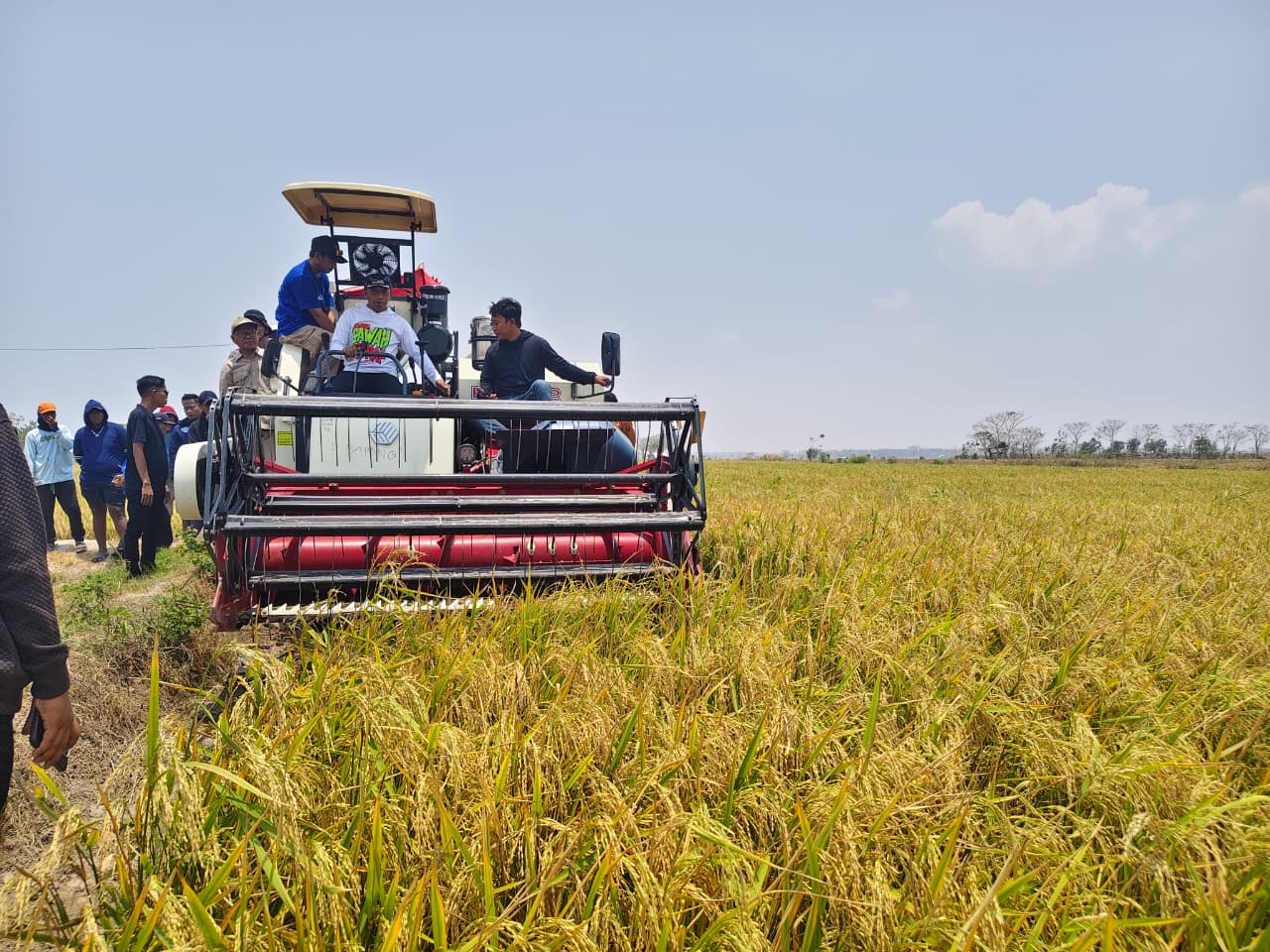 Listrik Masuk Sawah Hidupkan Lahan Tadah Hujan di Bapangi Sidrap Saat Kemarau