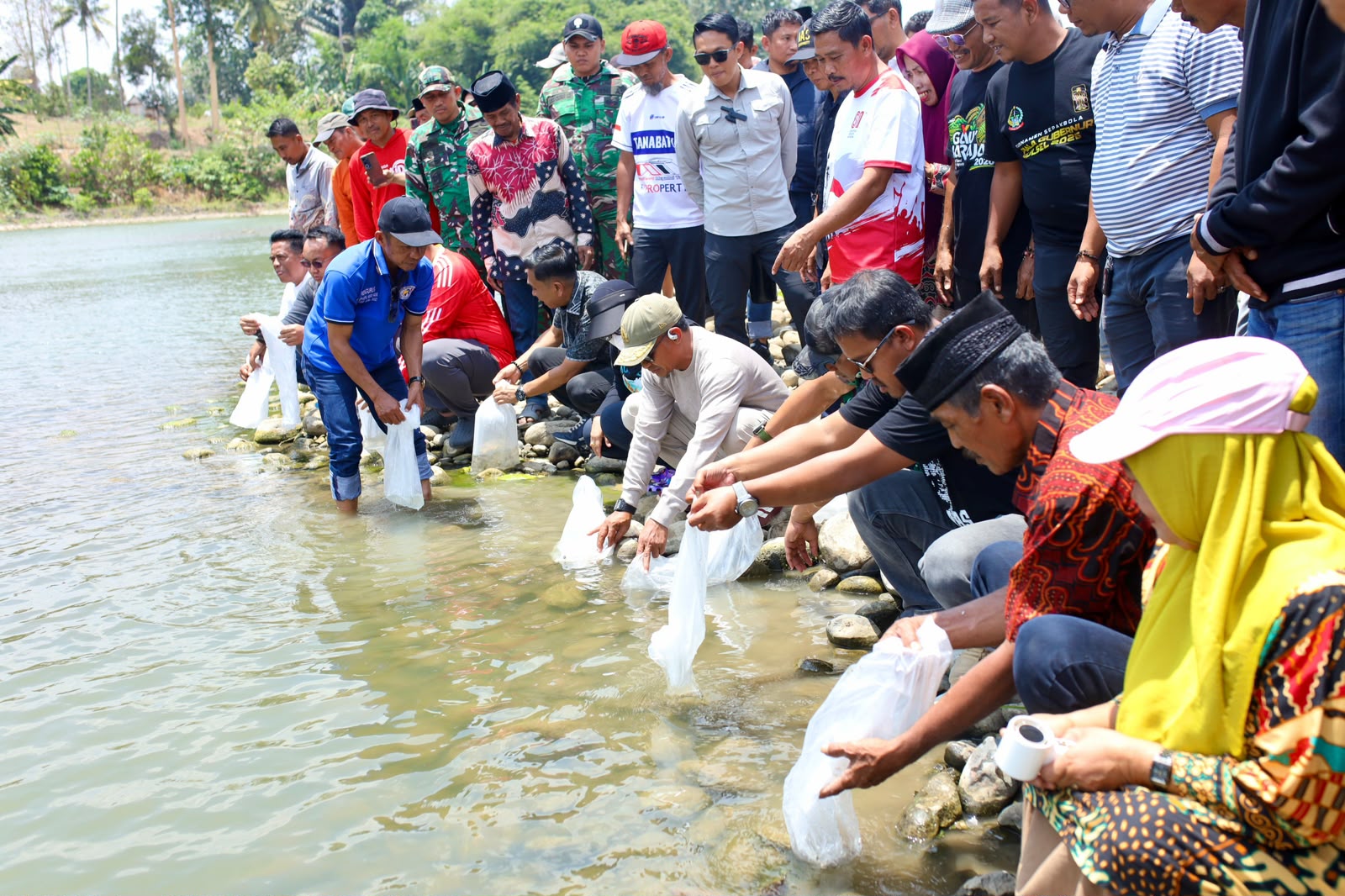 Bupati Bone Hadiri Pesta Panen Mallemmang, 10 Ribu Bibit Ikan Dilepas